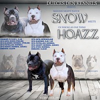 Snow X HoPuppy