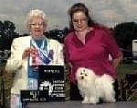 dog show