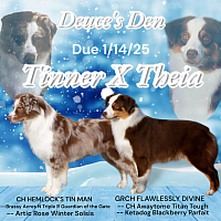 TinnerxTheia